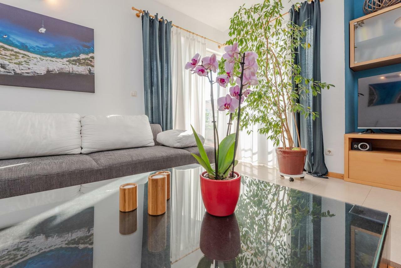 Romantic Oasis Apartments زادار المظهر الخارجي الصورة