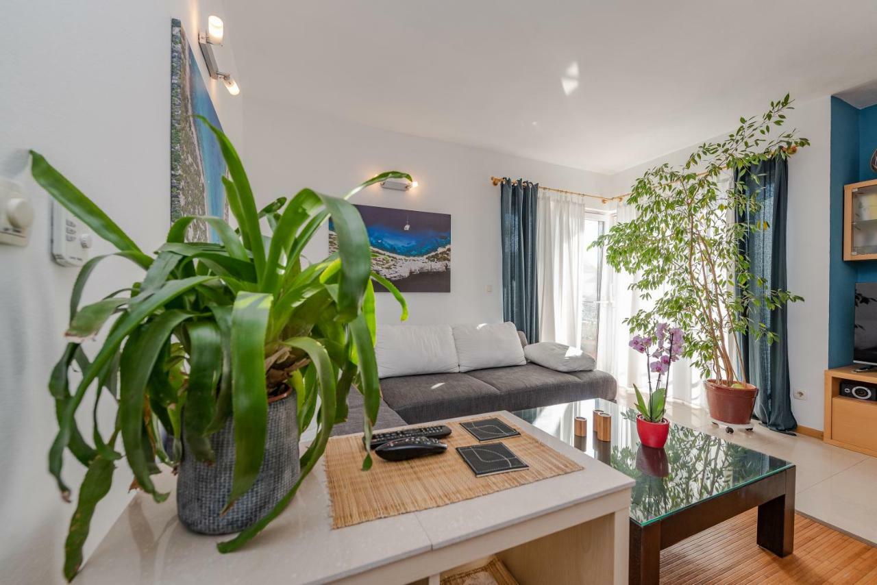 Romantic Oasis Apartments زادار المظهر الخارجي الصورة